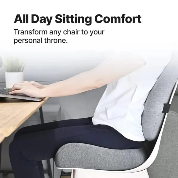 Zudo_Homes_Ultimate_Pro_Back_Support_(High_Density)_for_Chair_|_Orthopedic_Backrest_Cushion_for_Lumbar&Posture_Support_|_Relief_Back_Pain_|Pillow_with_Adjustable_Straps_|_Grey