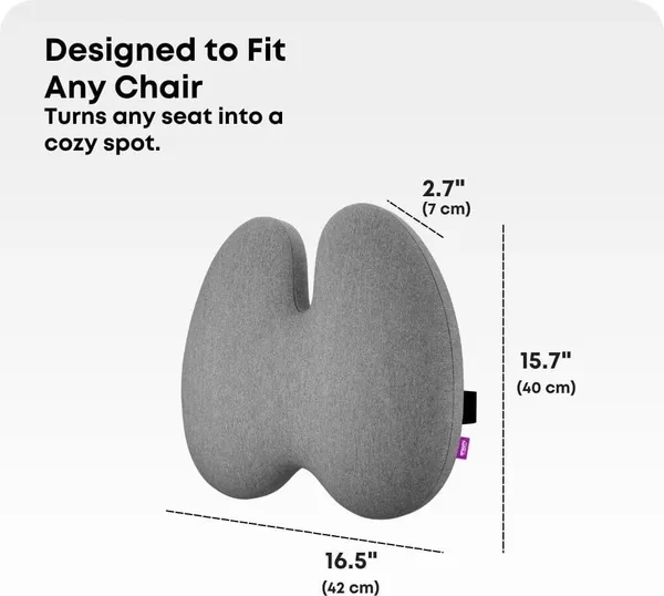 Zudo_Homes_Ultimate_Pro_Back_Support_(High_Density)_for_Chair_|_Orthopedic_Backrest_Cushion_for_Lumbar&Posture_Support_|_Relief_Back_Pain_|Pillow_with_Adjustable_Straps_|_Grey