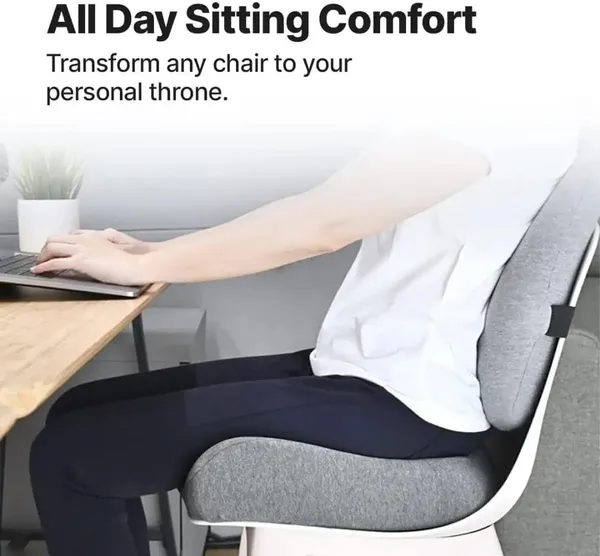 Zudo_Homes_Ultimate_Pro_Back_Support_(High_Density)_for_Chair_|_Orthopedic_Backrest_Cushion_for_Lumbar&Posture_Support_|_Relief_Back_Pain_|Pillow_with_Adjustable_Straps_|_Grey