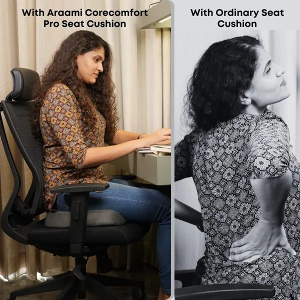 Zudo_Homes_Ultimate_Pro_Back_Support_(High_Density)_for_Chair_|_Orthopedic_Backrest_Cushion_for_Lumbar&Posture_Support_|_Relief_Back_Pain_|Pillow_with_Adjustable_Straps_|_Grey