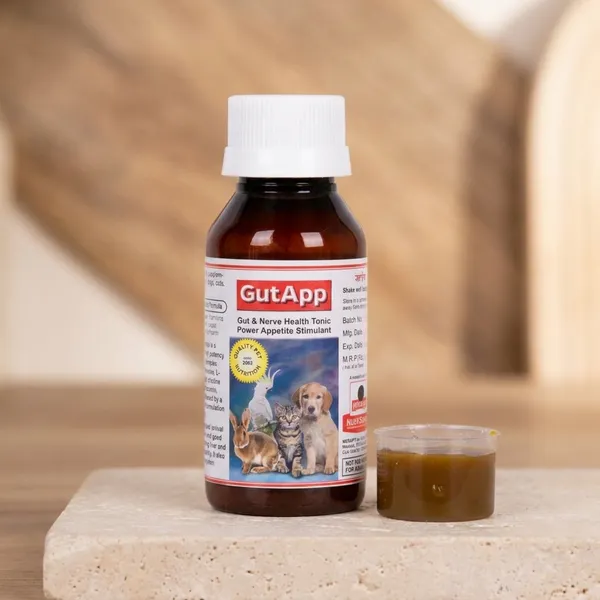 Gutapp_Neuro_Syrup_Pack_Of_3