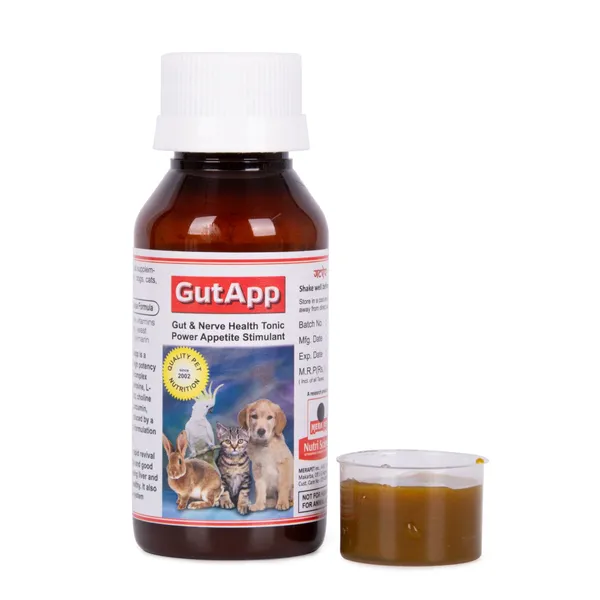 Gutapp_Neuro_Syrup_Pack_Of_3