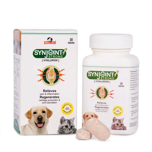 Synjoint