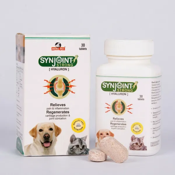 Synjoint