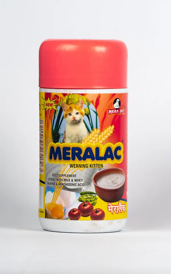 Meralac_Kitten