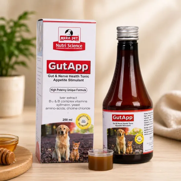 Gutapp_Gut_Syrup