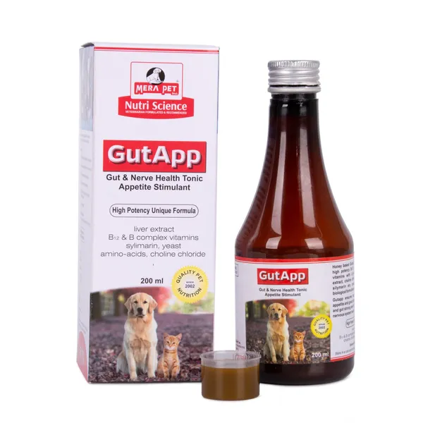 Gutapp_Gut_Syrup