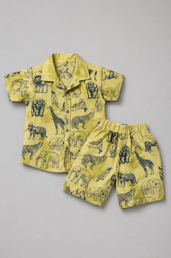 Rudnika_Trends_Animal_print_CoOrd_Set_Green