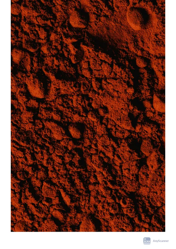 Premium_Organic_Beat_Root_Powder