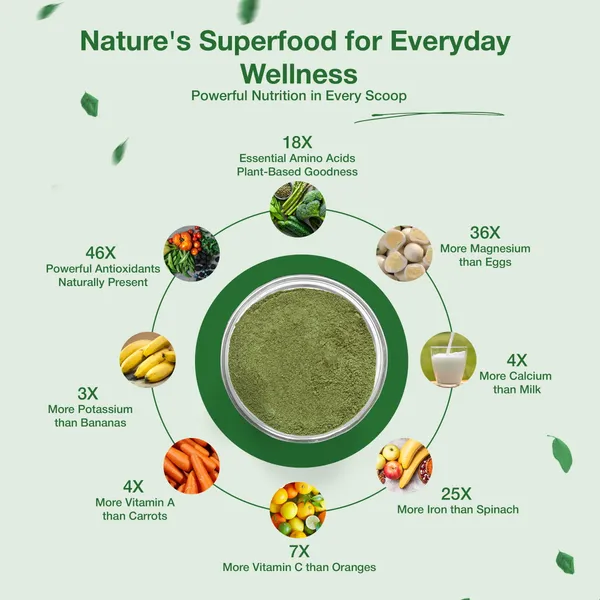 Yagnveda_Moringa_Leaf_Powder