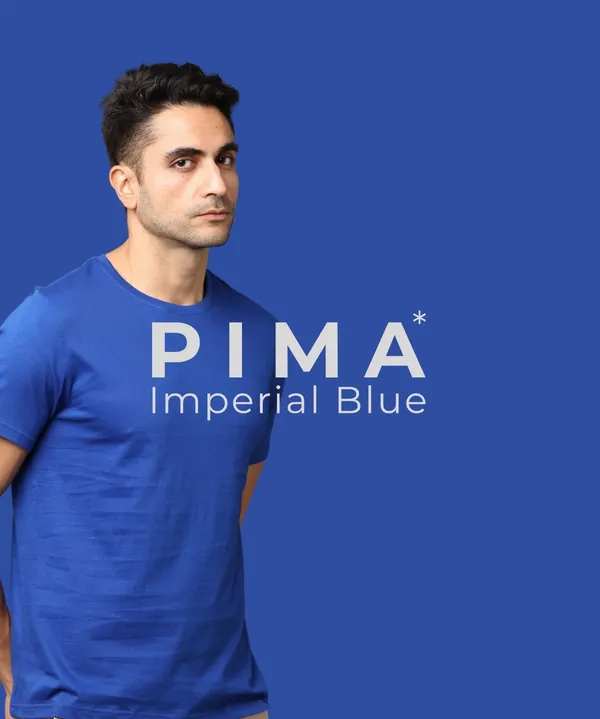 Men's_Imperial_Blue_Pima_Round_Neck_T-Shirt