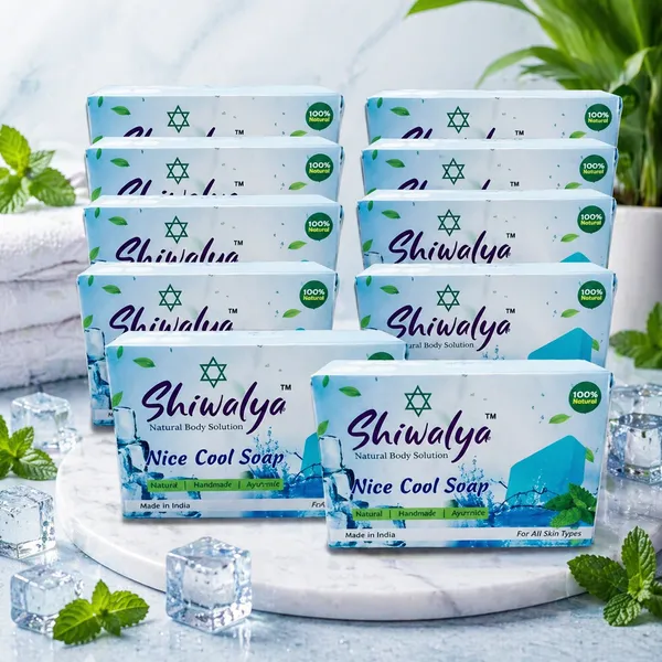 Shriwalya_Nice_Cool_Soap_-_Natural_Body_Solution_(Pack_of_10)