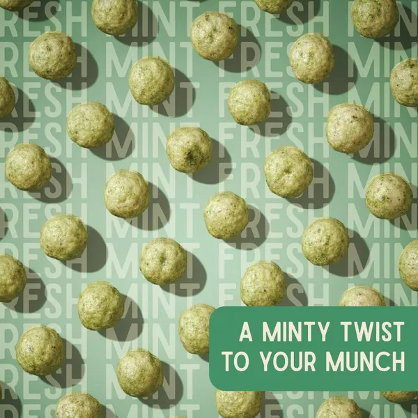 Mint_Makhana_70G_Premium_Can_Pack_Of_2