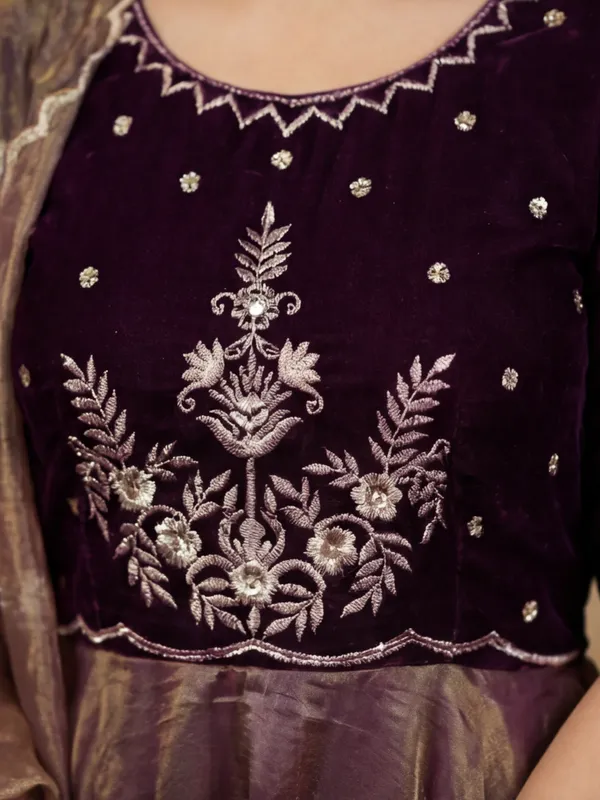 Fancy_Embroidered_And_Full_Flared_Velvet_And_Soft_Twill_Net_Gown
