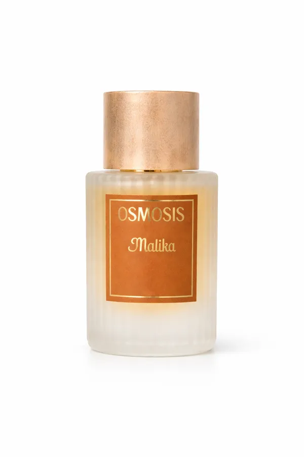 Warm_Fragrance_Malika