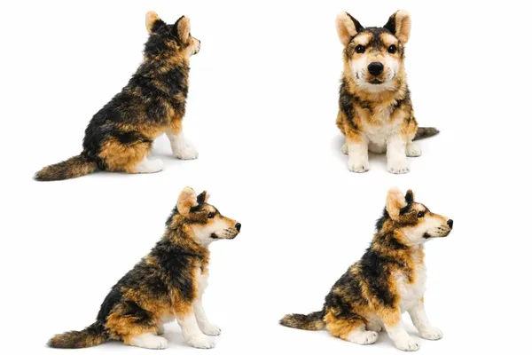 90_cm_Super_Soft_Plush_German_Shepherd_Dog_Toy_for_Kids_Cuddly_Stuffed_Animal,_Safe_&_Huggable_Gift_for_Boys_&_Girls,_Birthday_&_Valentine’s_Day_(Multicolor)