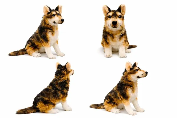 90_cm_Super_Soft_Plush_German_Shepherd_Dog_Toy_for_Kids_Cuddly_Stuffed_Animal,_Safe_&_Huggable_Gift_for_Boys_&_Girls,_Birthday_&_Valentine’s_Day_(Multicolor)