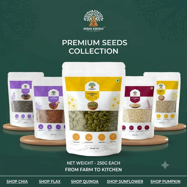 Combo_of_5_Seed_Bloom_Natural_Seeds_Chia,_Flax,_Quinoa,_Sunflower_&_Pumpkin_Superfoods_(250_G_EACH)