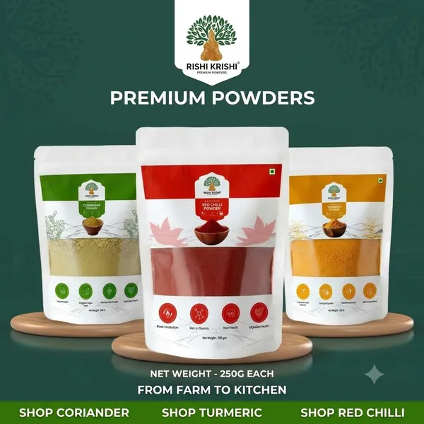Combo_Of_3_Natural_Kashmiri_Red_Chilli,_Lakadong_Turmeric_&_Coriander_Powder_Premium_Spices_(250_G_EACH)