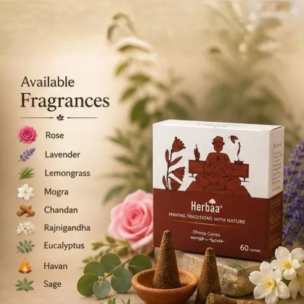 Herbaa_Dhoop_Cones_|_60pcs_Per_Box