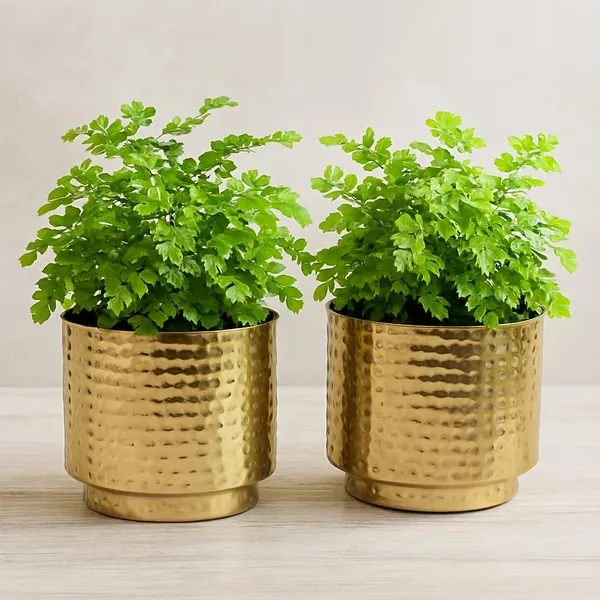 Set_Of_2_Gold_Plated_Hammered_Metal_Planters_Decorative_Flower_Pots_With_Stand_Indoor_Table_Shelf_Decor