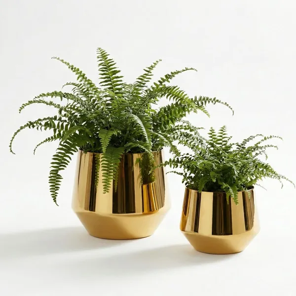 Iron_Modern_Brushed_Gold_Metal_Planter_Bowl_Decorative_Flower_Pot_For_Indoor_And_Outdoor_Use_Set_Of_2