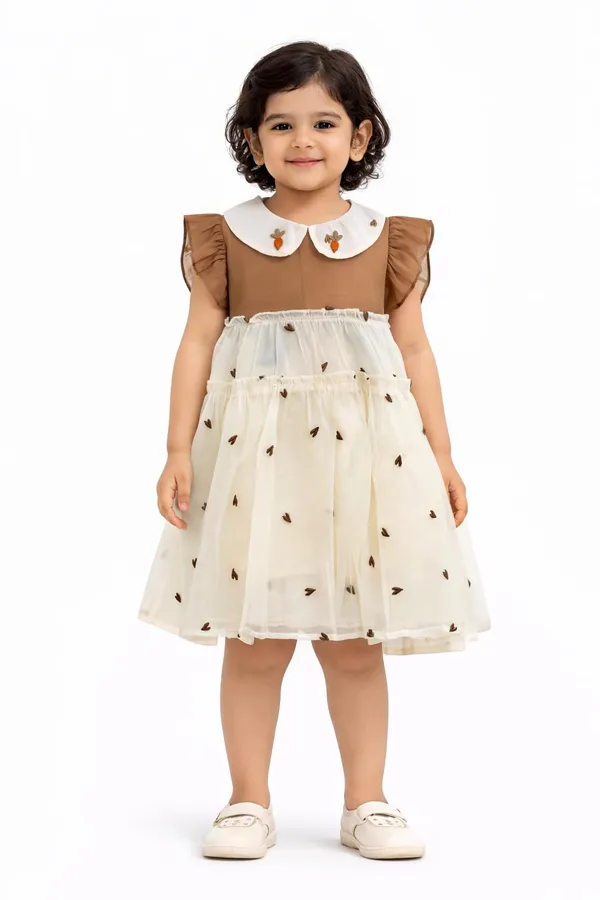 Baby_Girl_Dress_With_Embroidered_Peter_Pan_Collar_Cute_Layered_Net_Frock_For_Kids