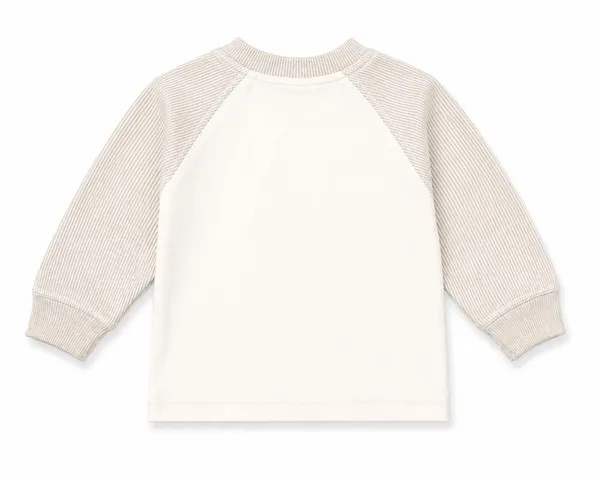 Beige_Full_Sleeve_Cotton_Sweatshirt_jogger_set