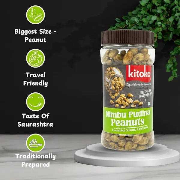 Nimbu_Pudina_Peanuts_Roasted_Salted_Peanuts_Groundnuts_With_Unique_Flavour_Healthy_Namkeen_Khari_Sing_Snacks_Without_Skin