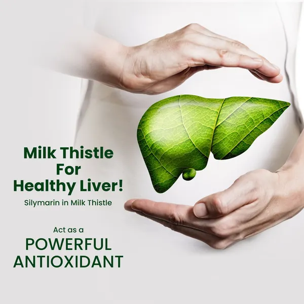 Milk_Thistle_For_Supporting_Liver_Health_And_Overall_Wellness