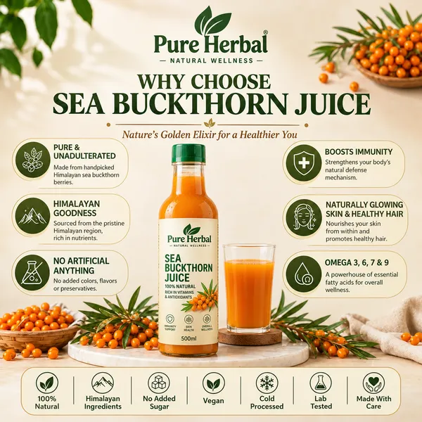 Buy_2_Get_2_Free_Pure_Herbal__Sea_Buckthorn_Juice_Pure_Wild-Harvested_Superfood_500_MI_*4