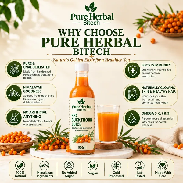 Buy_1_Get_1_Free_Pure_Herbal__Sea_Buckthorn_Pulp_Juice_500ml_+_500ml_Rich_In_Vitamin_C_Omega_3,_6,_7_&_9_Antioxidant-Rich_Himalayan_Superfruit_Drink_Less