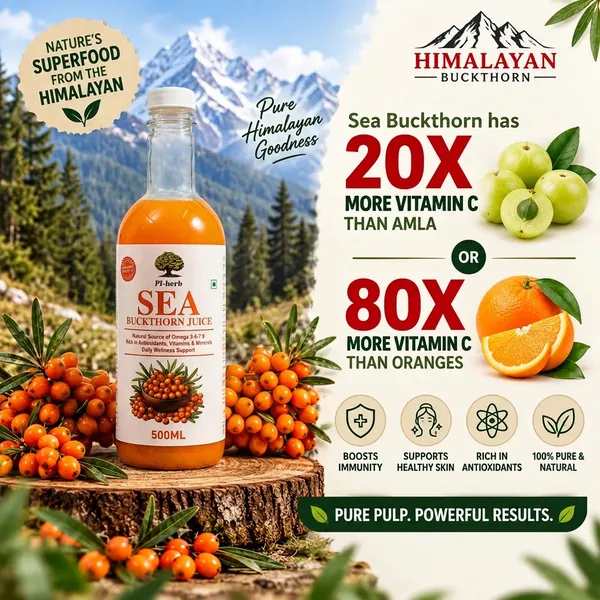 Buy_1_Get_1_Free_Pure_Herbal__Sea_Buckthorn_Pulp_Juice_500ml_+_500ml_Rich_In_Vitamin_C_Omega_3,_6,_7_&_9_Antioxidant-Rich_Himalayan_Superfruit_Drink_Less