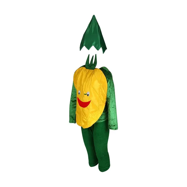 Raj_Costume_Kids_Vegetables_Fancy_Dress_Costume_School_Function_Theme_Party