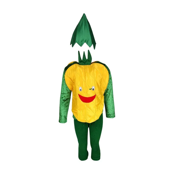 Raj_Costume_Kids_Vegetables_Fancy_Dress_Costume_School_Function_Theme_Party