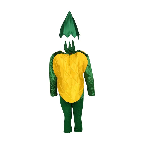 Raj_Costume_Kids_Vegetables_Fancy_Dress_Costume_School_Function_Theme_Party