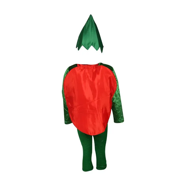 Raj_Costume_Kids_Vegetables_Fancy_Dress_Costume_School_Function_Theme_Party