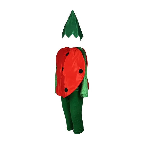 Raj_Costume_Kids_Vegetables_Fancy_Dress_Costume_School_Function_Theme_Party