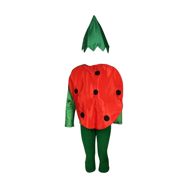 Raj_Costume_Kids_Vegetables_Fancy_Dress_Costume_School_Function_Theme_Party