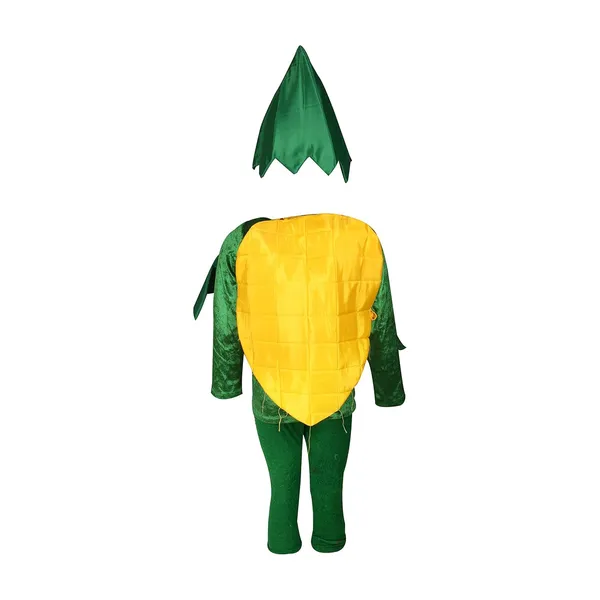 Raj_Costume_Kids_Vegetables_Fancy_Dress_Costume_School_Function_Theme_Party