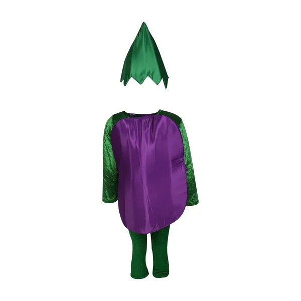 Raj_Costume_Kids_Vegetables_Fancy_Dress_Costume_School_Function_Theme_Party