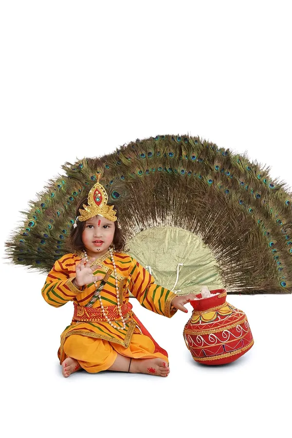 Raj_Fancy_Dresses_Radha_And_Krishna_Brocade_Fabric_Janmashtami_Mythological_Character_Costume