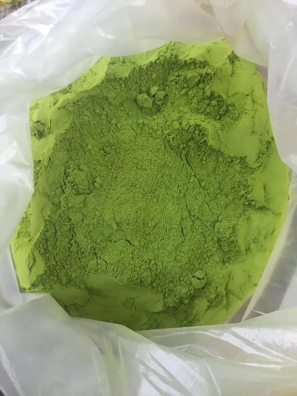 Moringa_Powder