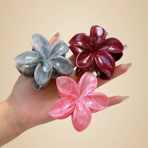 Colorful_plumeria_three_combinations_clip