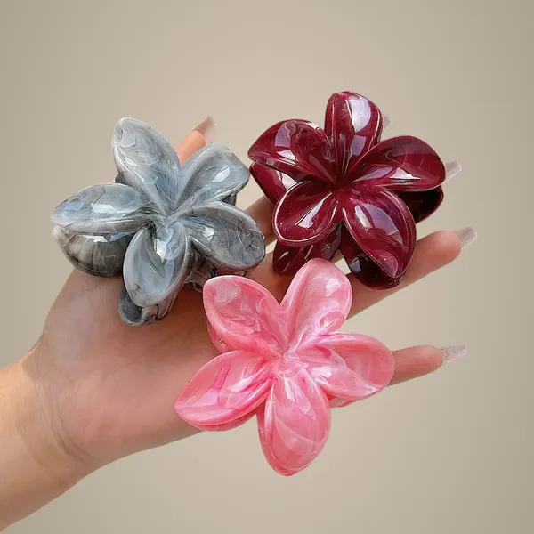 Colorful_plumeria_three_combinations_clip
