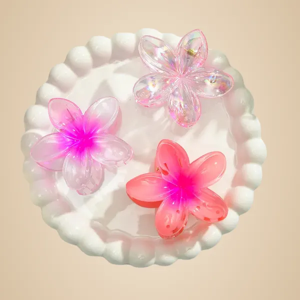 Transparent_Pink_Hair_Claws_for_Women_Pack_Of_3