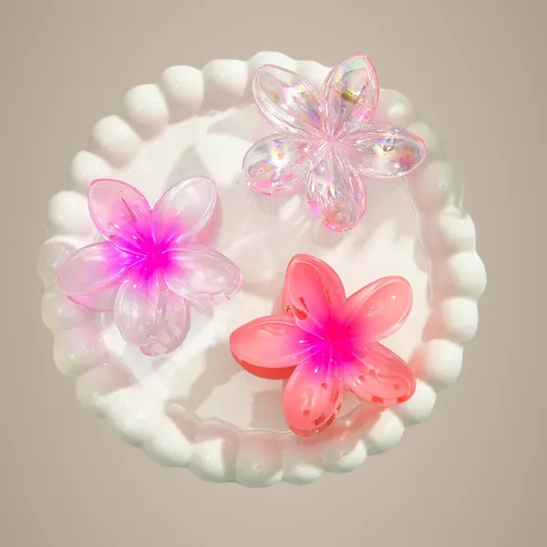 Transparent_Pink_Hair_Claws_for_Women_Pack_Of_3