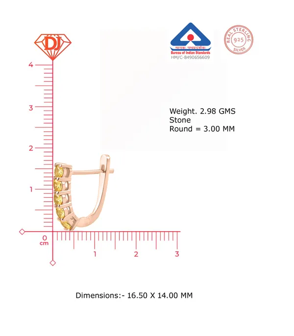 925_Silver_Goldcz_Hoop_Earrings_With_Rose_Gold_Plating
