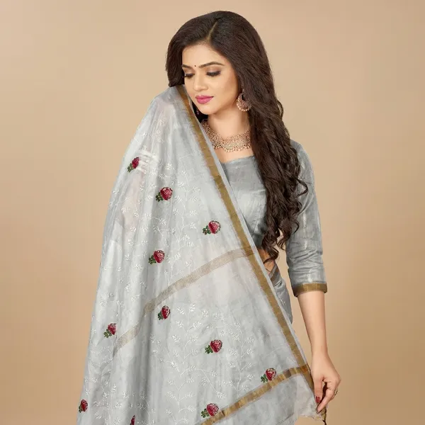Silver_Grey_And_Gold_Silk_Premium_And_Elegant_Saree_For_Women