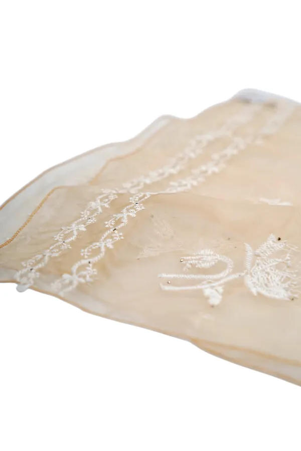 The_Soft_Light_Gold_Stole_|_Stoles_are_there_to_provide_the_sense_extra_elegance_in_your_styling